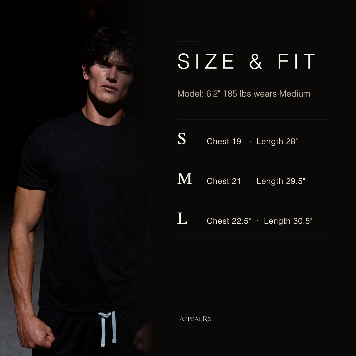 Signature Fitted Black Tee
